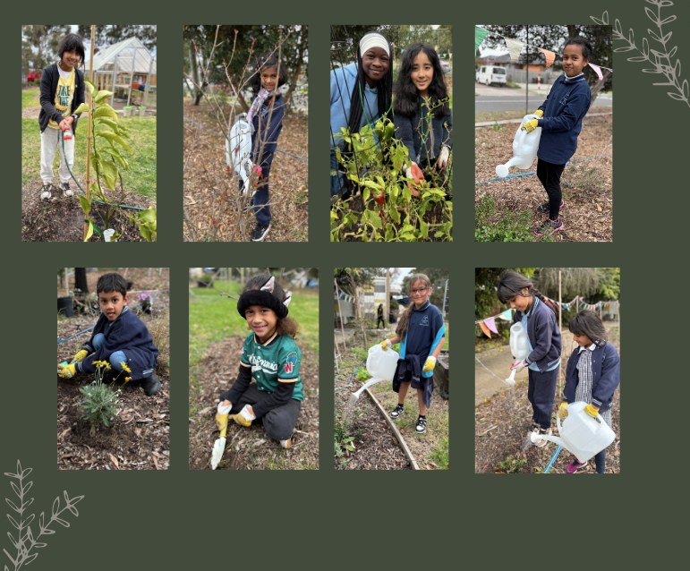 /uploaded_files/media/gallery/1724644264sustainability1.png